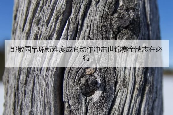 邹敬园吊环新难度成套动作冲击世锦赛金牌志在必得