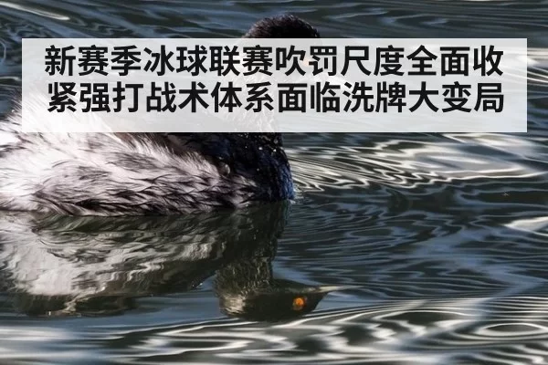 新赛季冰球联赛吹罚尺度全面收紧强打战术体系面临洗牌大变局