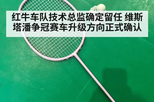 红牛车队技术总监确定留任 维斯塔潘争冠赛车升级方向正式确认