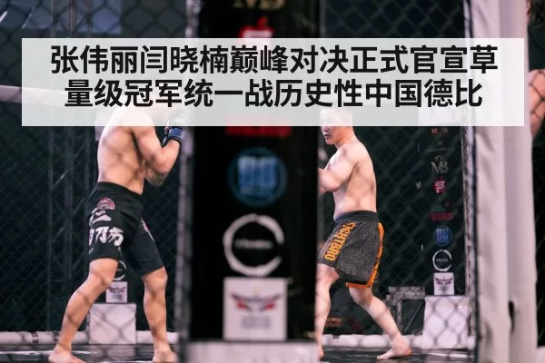 张伟丽闫晓楠巅峰对决正式官宣草量级冠军统一战历史性中国德比